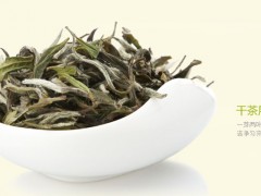 绿雪芽的传说