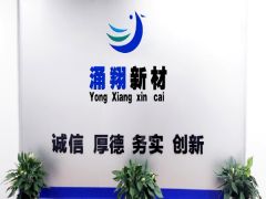 门户网站开始运营了