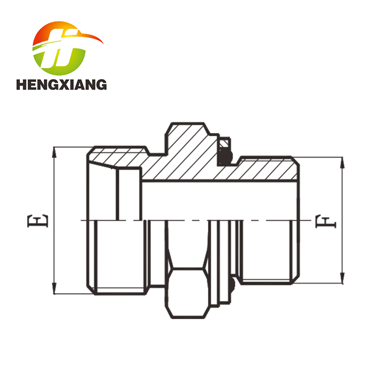 英管螺纹O形圈密封柱端 1DG