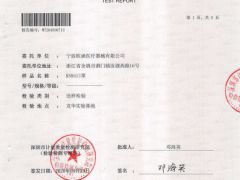 KN95(外置鼻梁条）检测报告