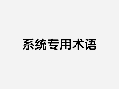 系统专用术语
