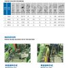 相册图片-示例图片（30）